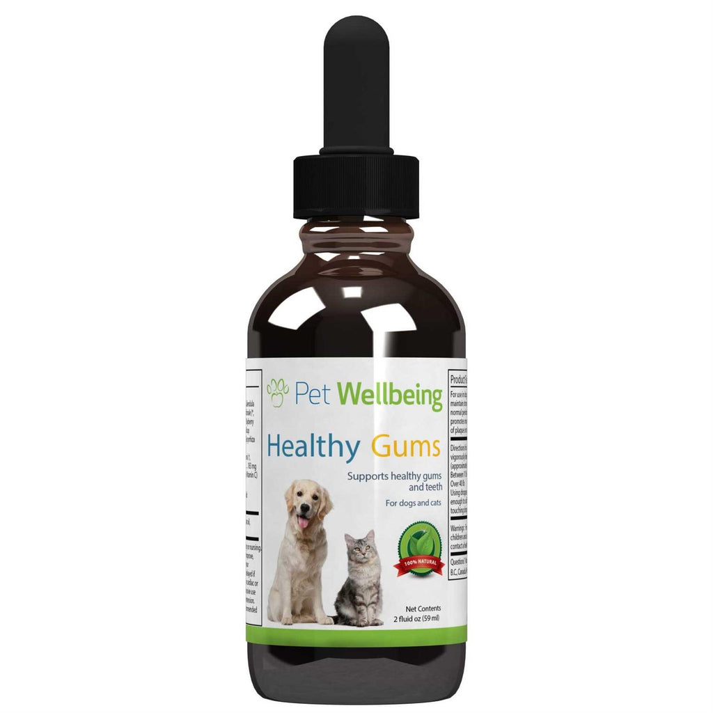 Healthy Gums for Feline Periodontal Health Q842985