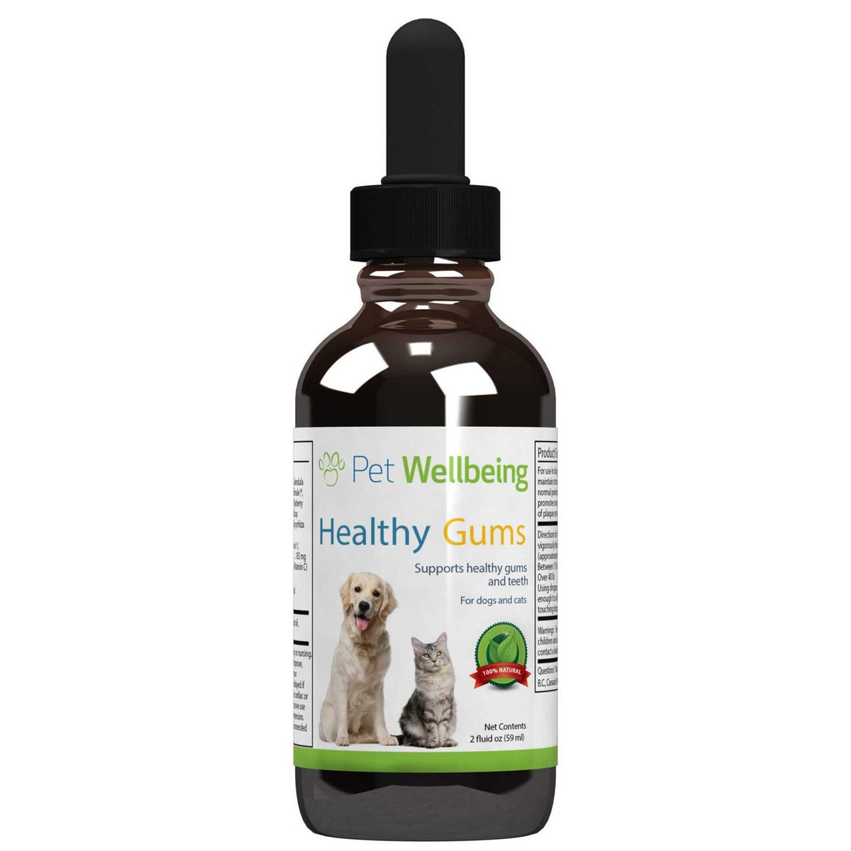 Healthy Gums for Feline Periodontal Health Q842985