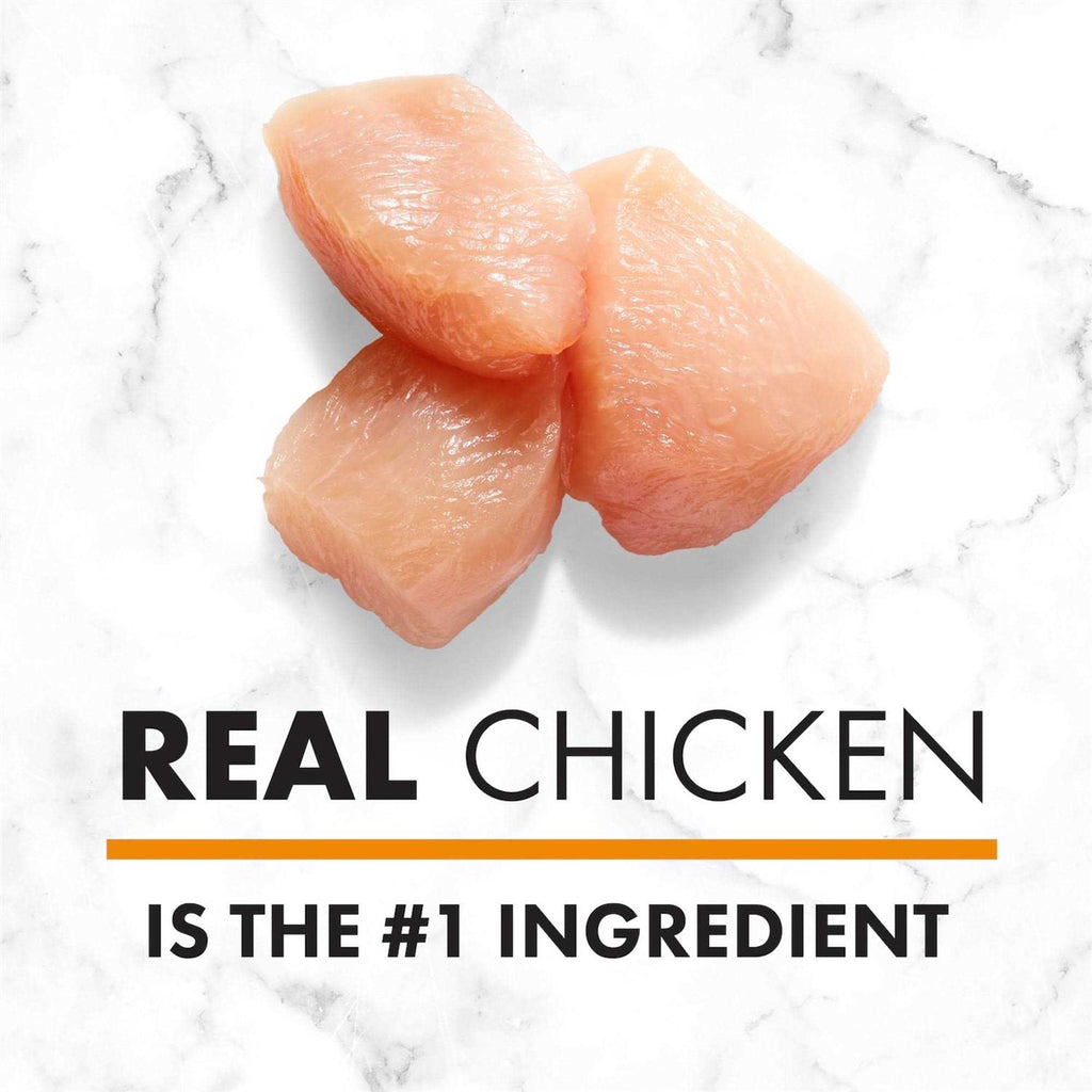 Chicken & Brown Rice Senior Dry Dog Food G64806