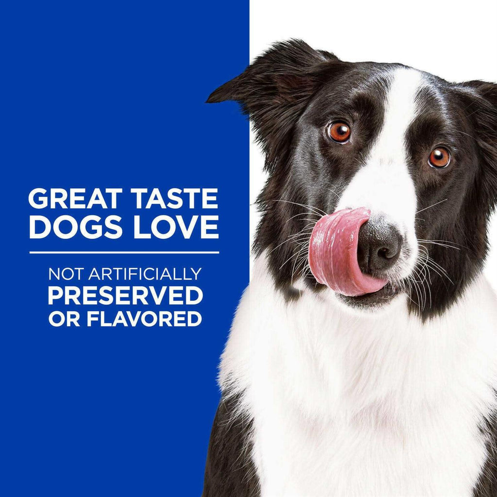 Dog Treats V45390