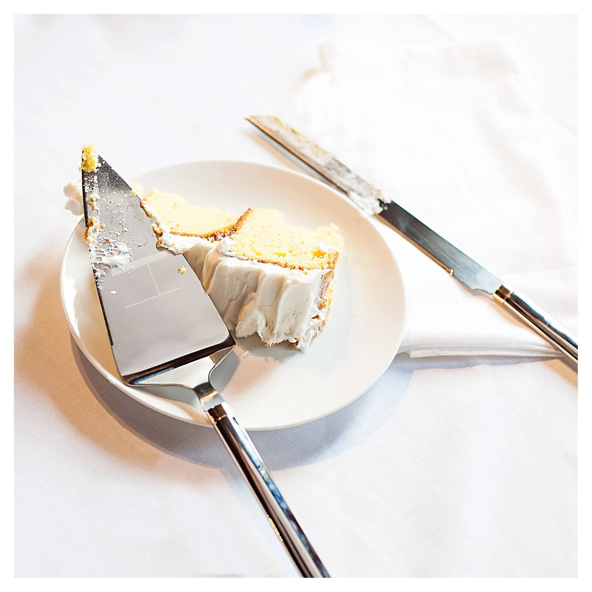 Cake Serving Set C825