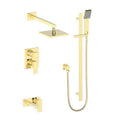 Polished Gold Shower System T522487