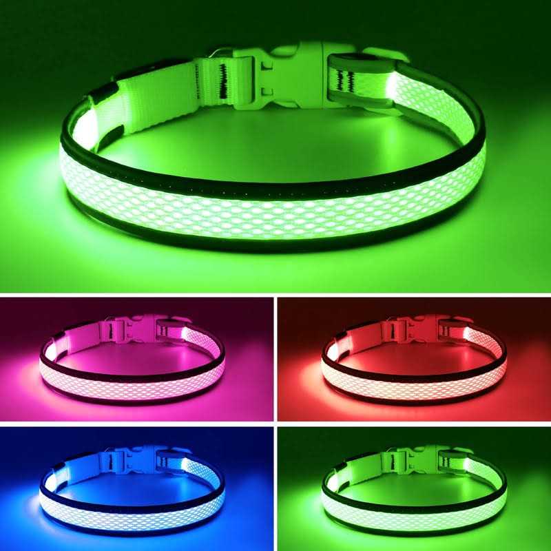 USB Rechargeable LED Dog Collar O1548