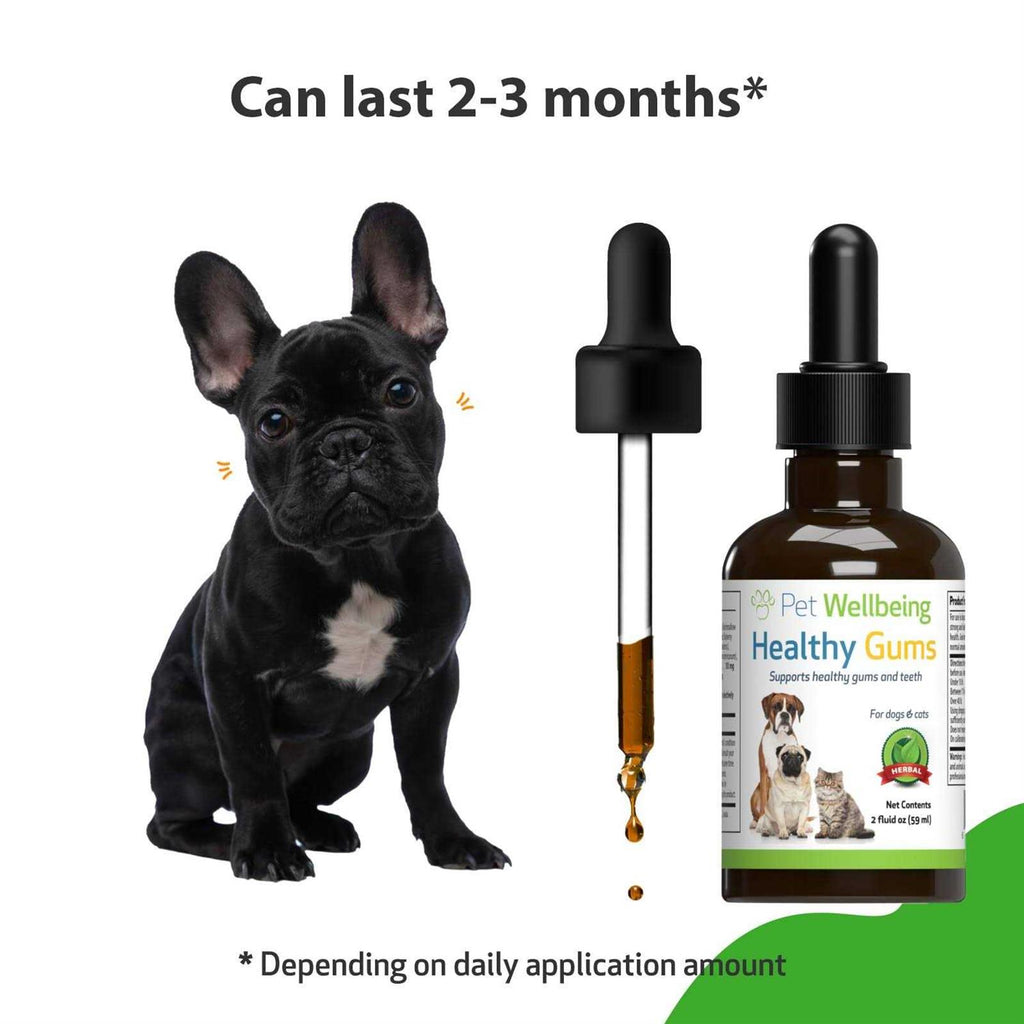 Healthy Gums for Feline Periodontal Health Q842985