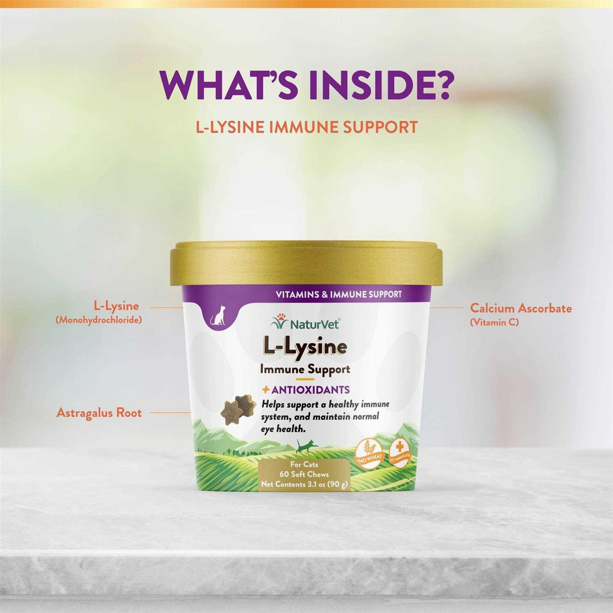 L-Lysine Immune Support Plus Antioxidants J641558