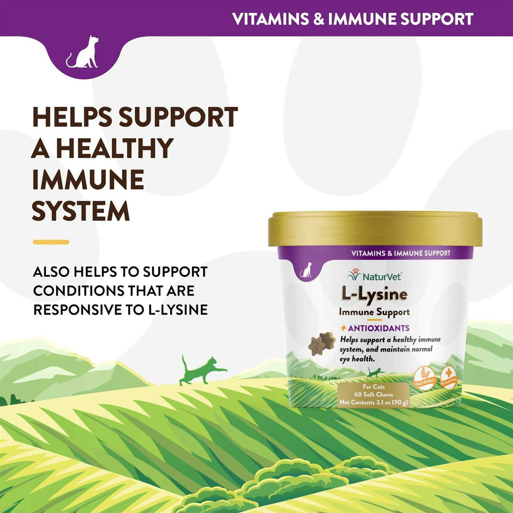 L-Lysine Immune Support Plus Antioxidants J641558