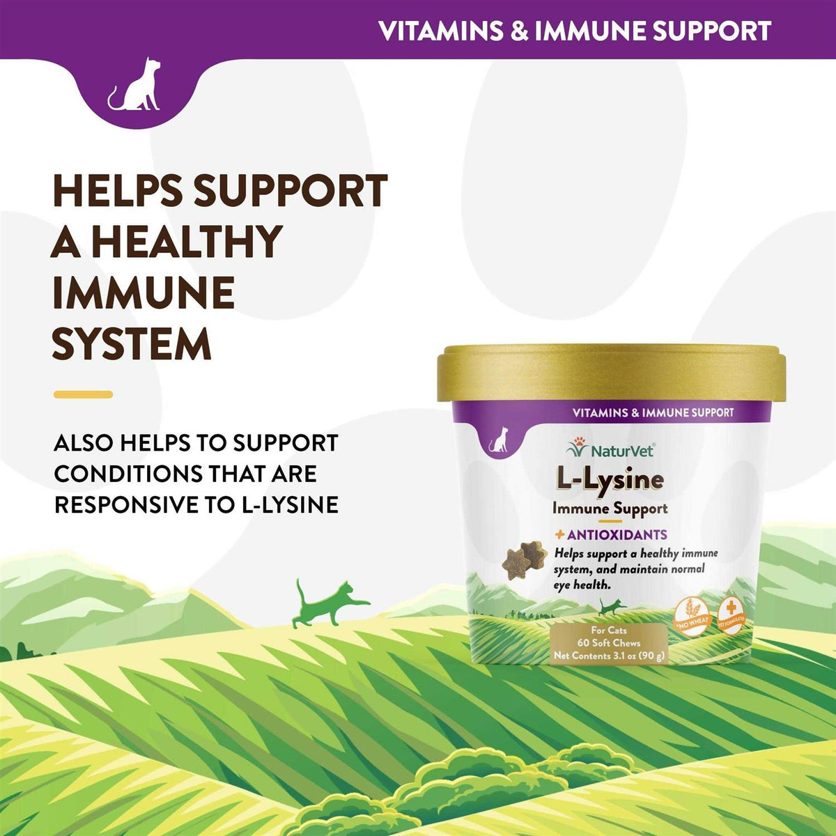 L-Lysine Immune Support Plus Antioxidants J641558