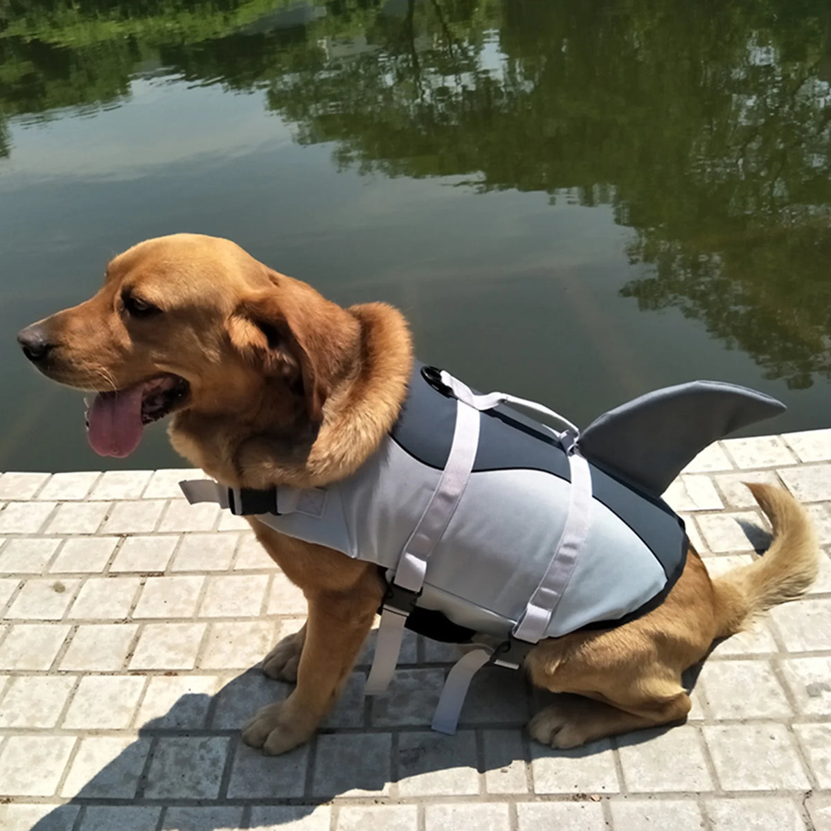 Dog Shark Swimsuit Vest Pet Safety Wear X114539