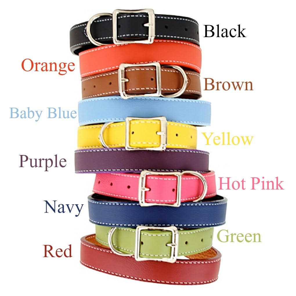 Leather Dog Collar A32270