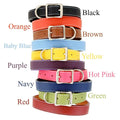 Leather Dog Collar A32270