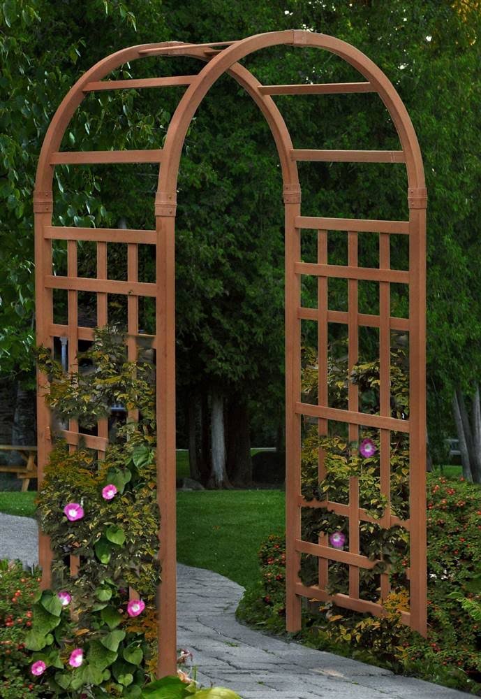 Sierra Arbor G44424