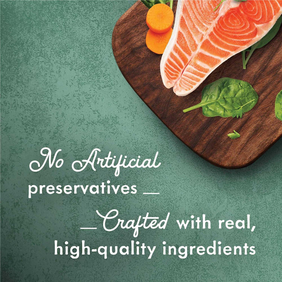 High Protein Wet Cat Food D9492