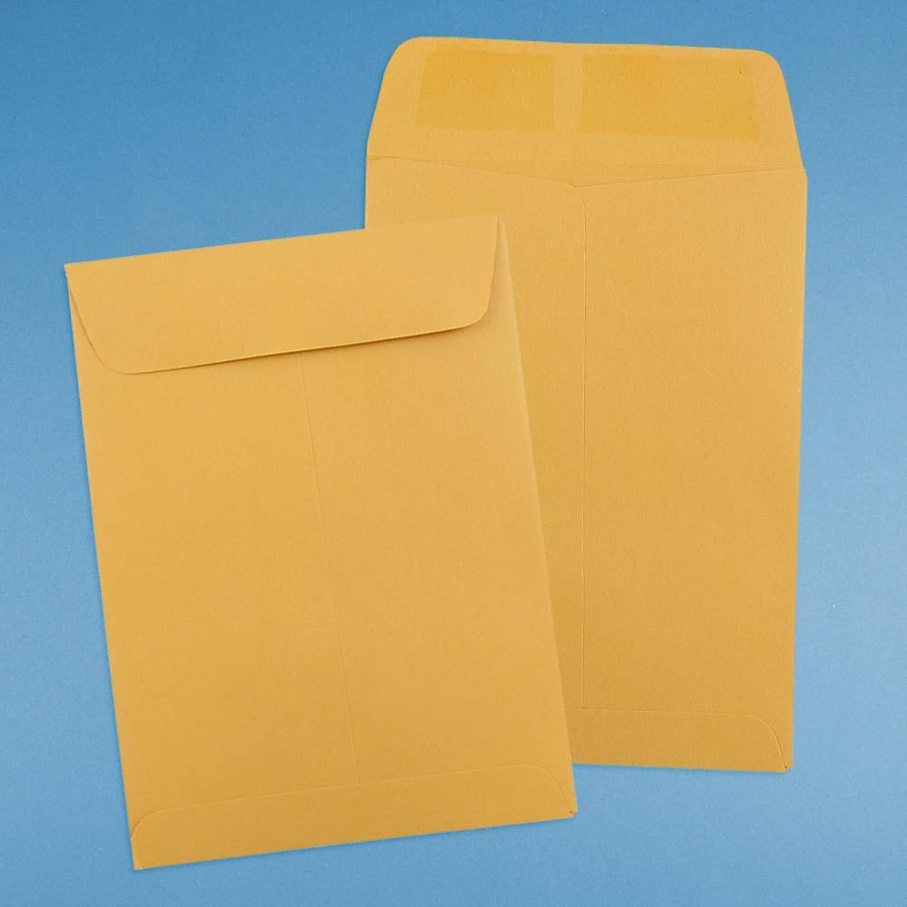 Brown Kraft Envelope - 1000/Carton W31931