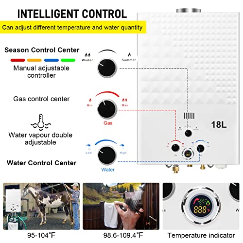 Portable Propane Tankless Water Heater with Digital Display F69879