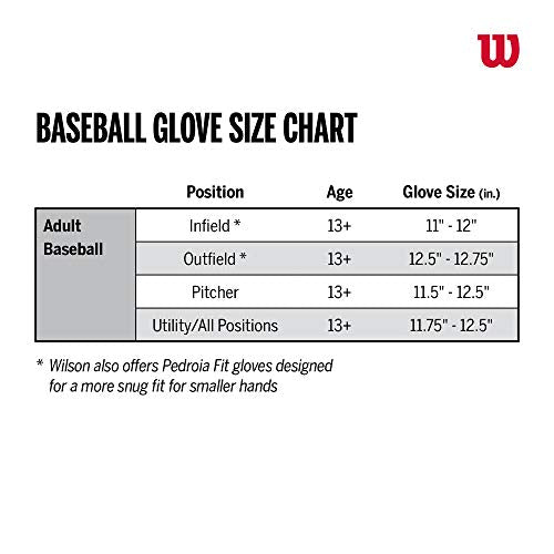 A2000 Baseball Glove M73089