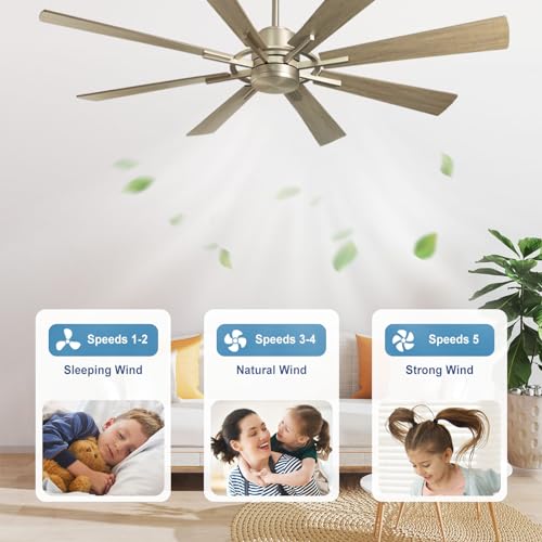 Large 60" Low Profile Indoor Ceiling Fan with Light and Remote Control, Black and Gold R89246