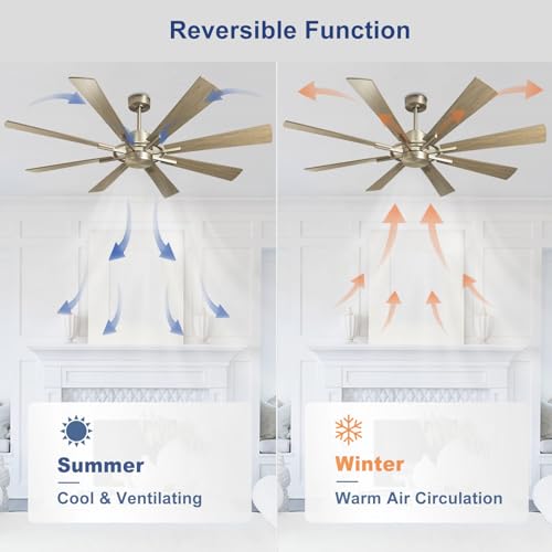 Large 60" Low Profile Indoor Ceiling Fan with Light and Remote Control, Black and Gold R89246