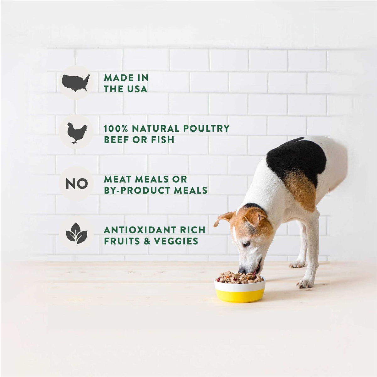 Chunky Beef Recipe Dog Food S32669