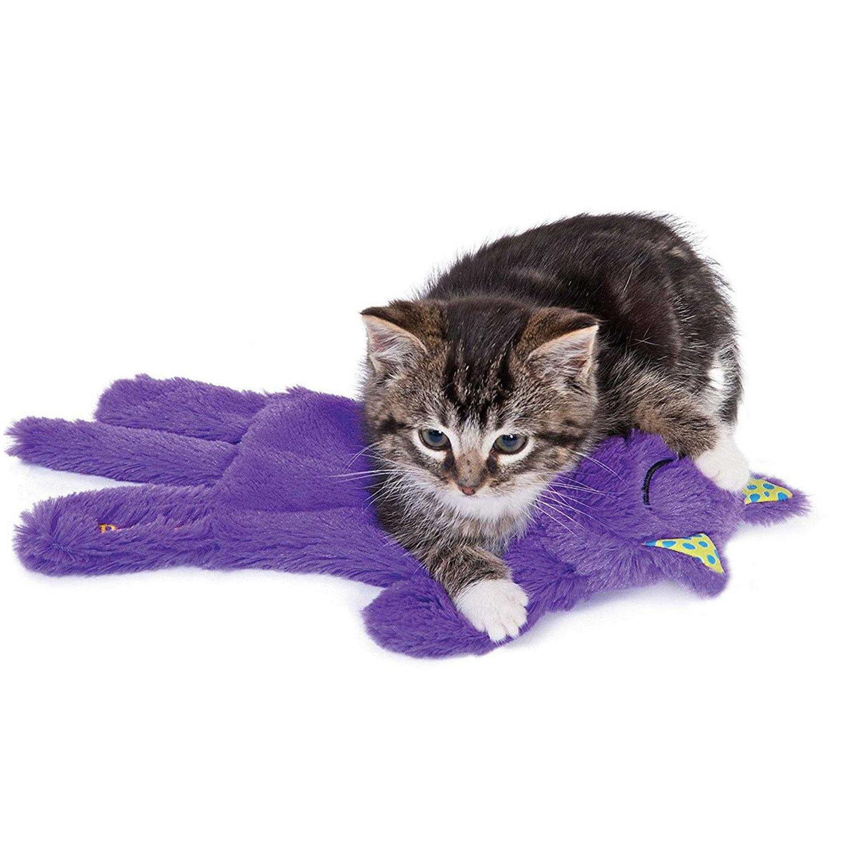 Cat Toy J123169