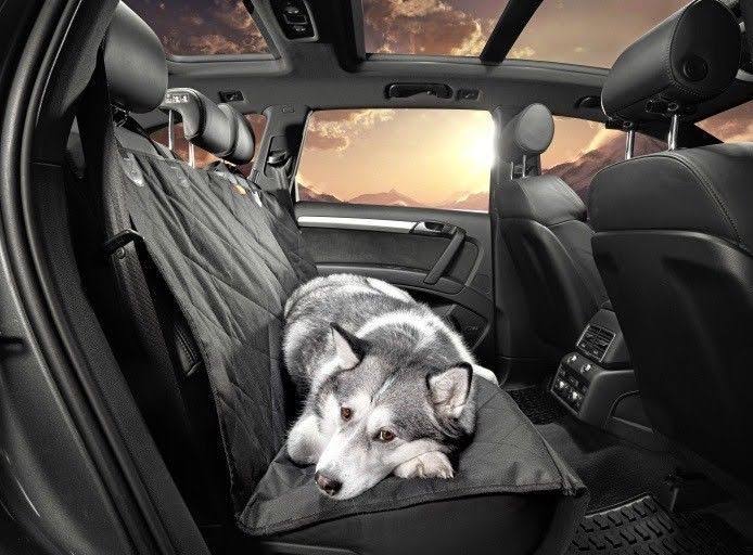 Dog Seat Covers R19289