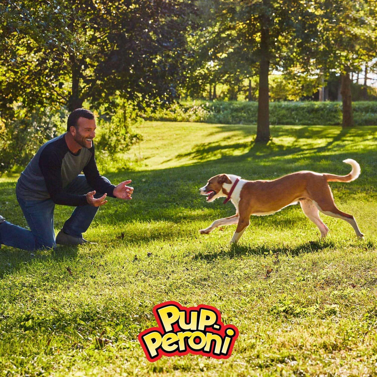 Pup-Peroni Triple Dog M77268