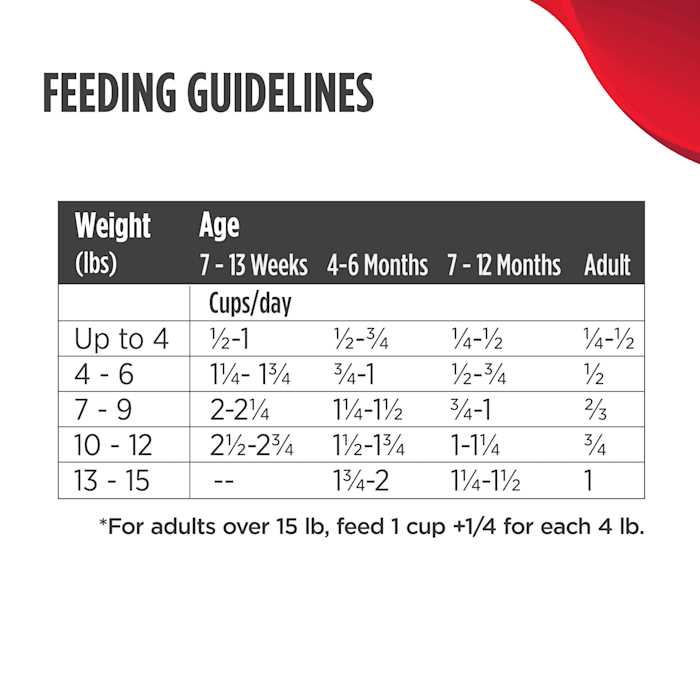 Dry Cat Food B29101
