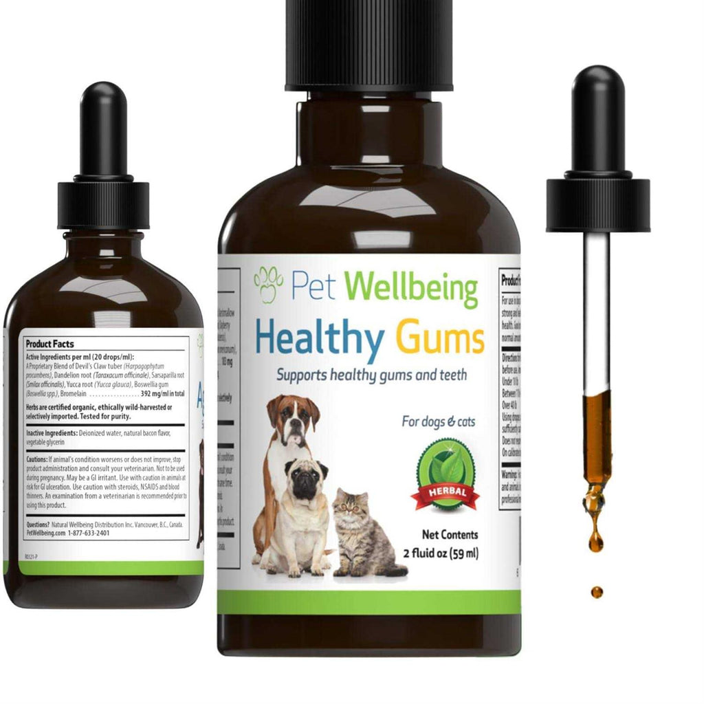 Healthy Gums for Feline Periodontal Health Q842985