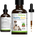 Healthy Gums for Feline Periodontal Health Q842985