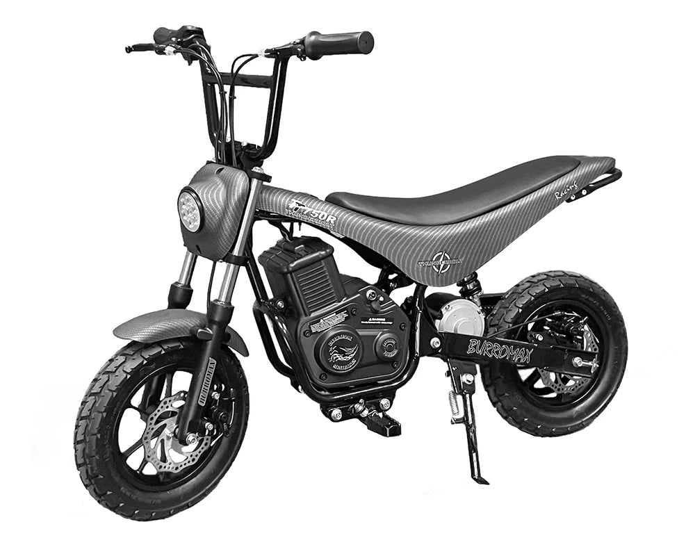 750w 36v Lithium Ion Electric Mini Bike N602