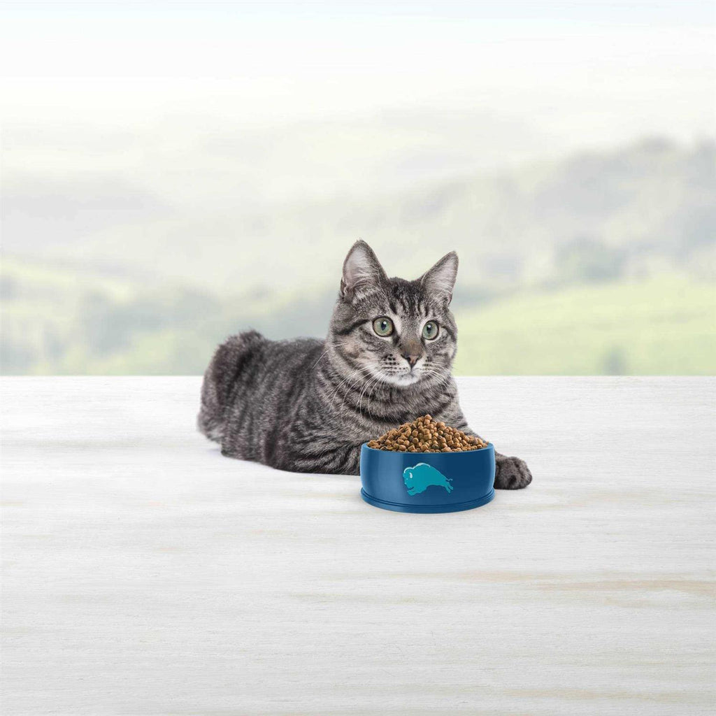 Chicken Adult 7+ Dry Cat Food V395732