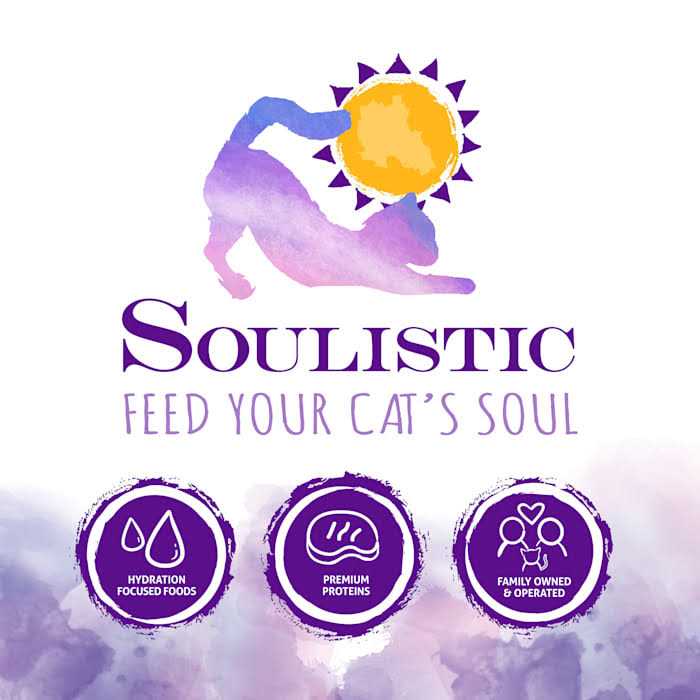 Wet Cat Food in Gravy P7789