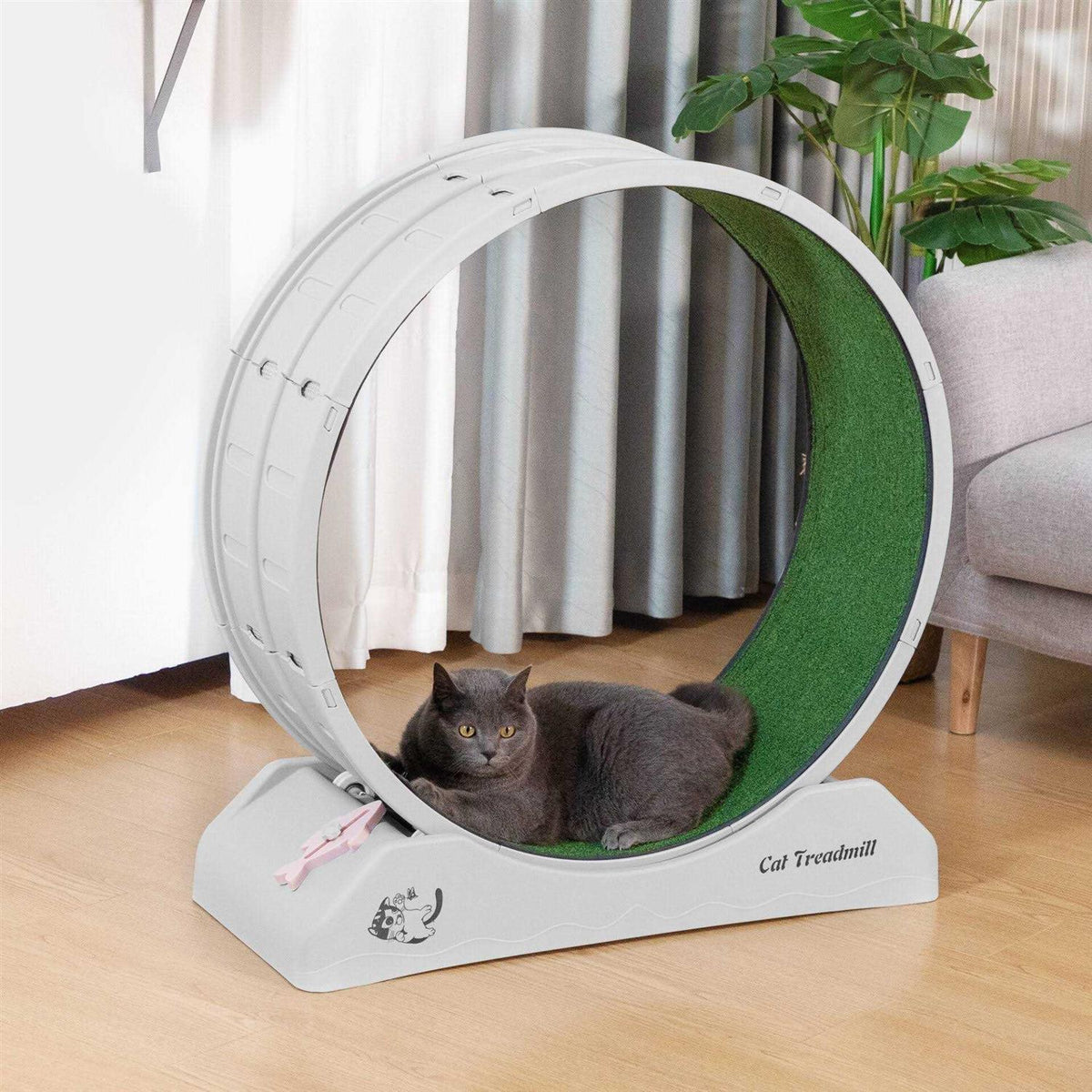 Cat Exercise Wheel with Locking Mechanism J710