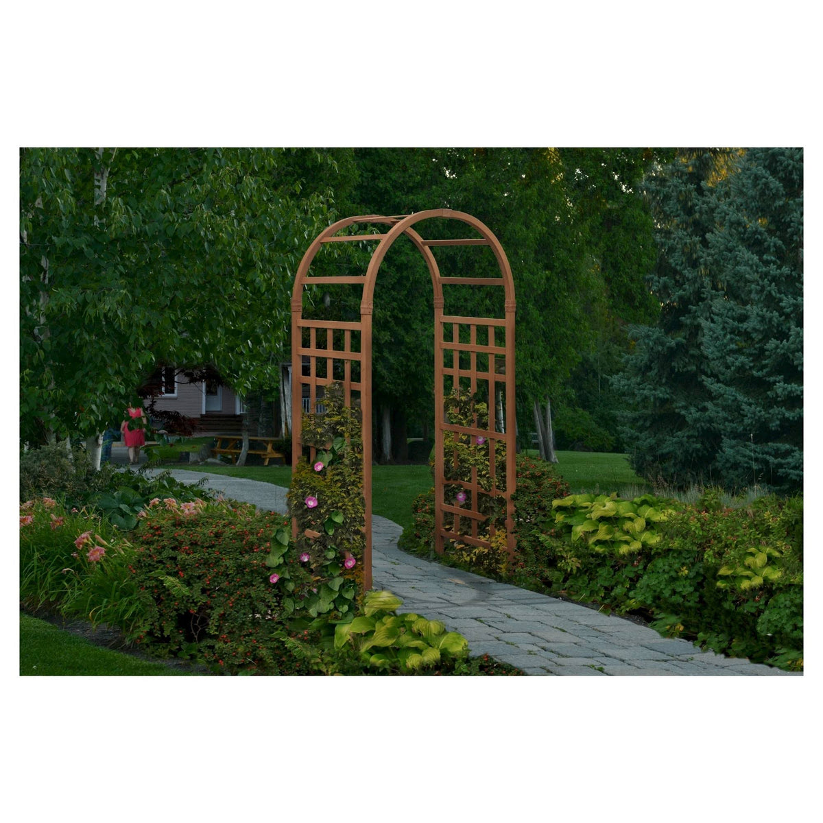 Sierra Arbor G44424