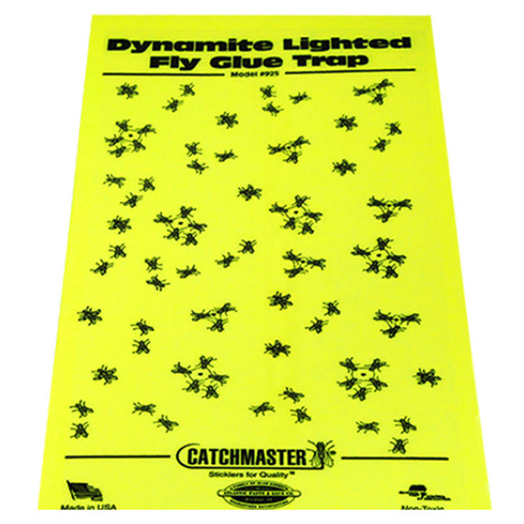 25 Pk Replacement Glue Boards for 911 Trap L259558