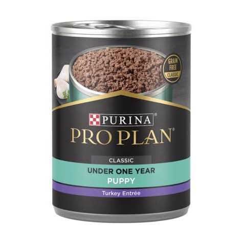 Wet Puppy Food T573