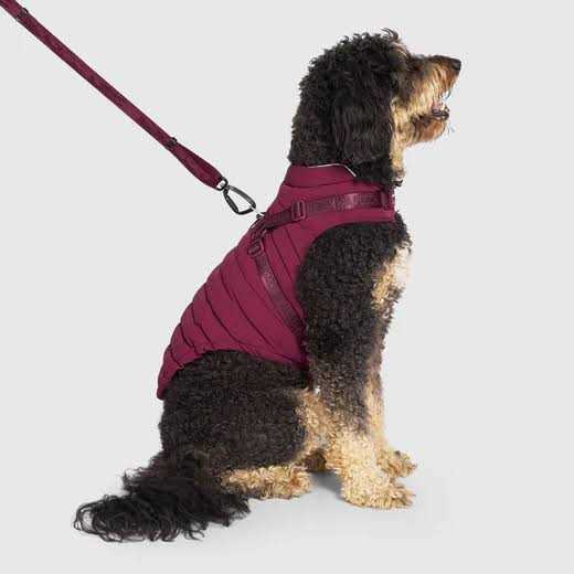 Black Puffer Harness I87351