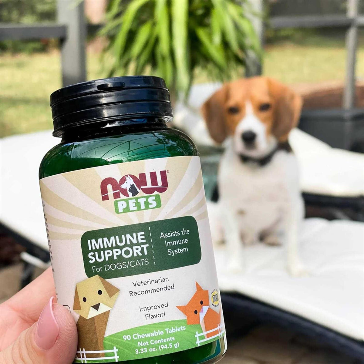 Immune Support for Dogs-Cats P70084