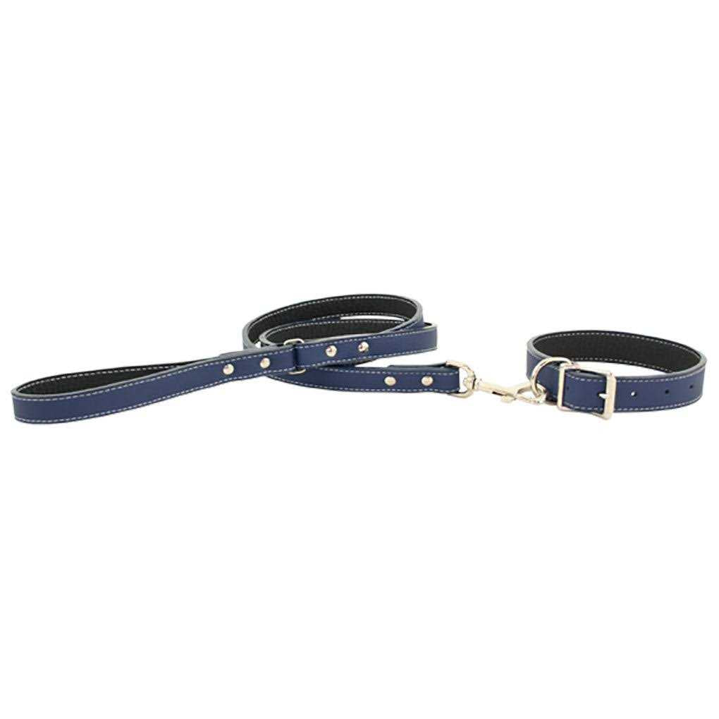 Leather Dog Collar A32270