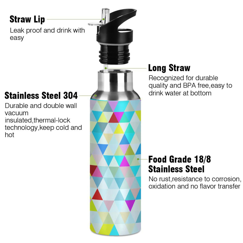 20 oz Insulated Stainless Steel Water Bottle with Straw Lid R14148