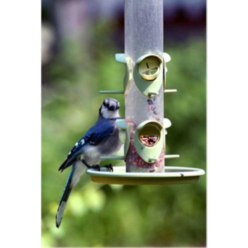 Wild Bird Food N697937