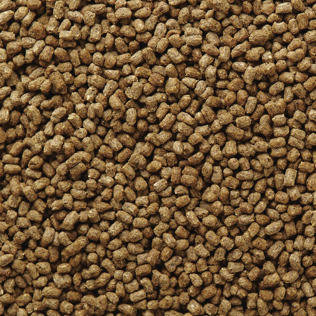 Hedgehog Food Z50736