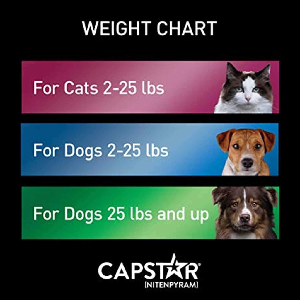 Capstar for Cats I26001