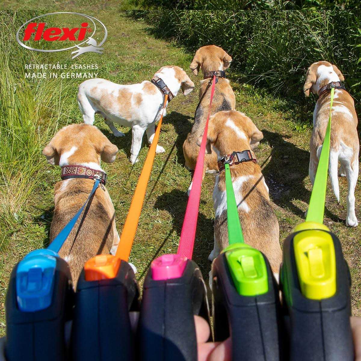 Retractable Tape Leash F951505