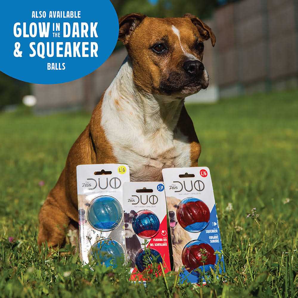 Duo Ball Dog Toy with Squeaker O87237