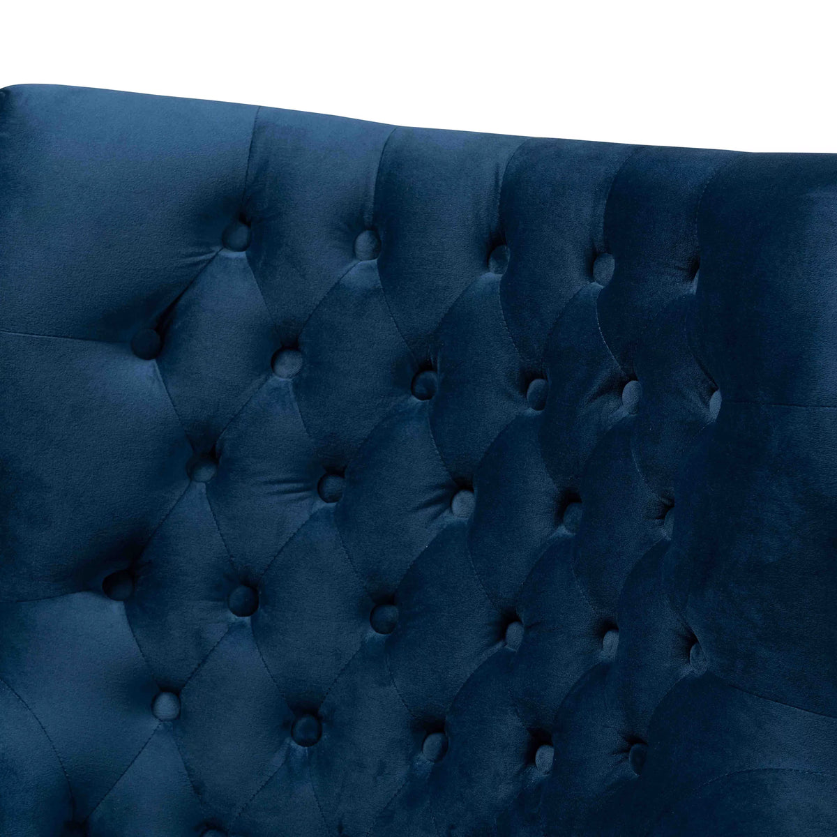 Navy Blue and Gold Wingback Chair C838