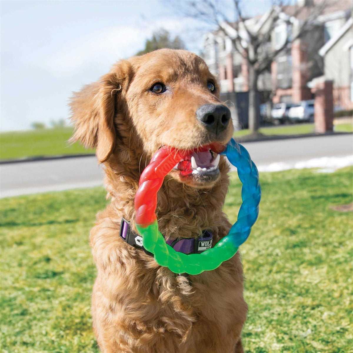 Pet Supplies C118029