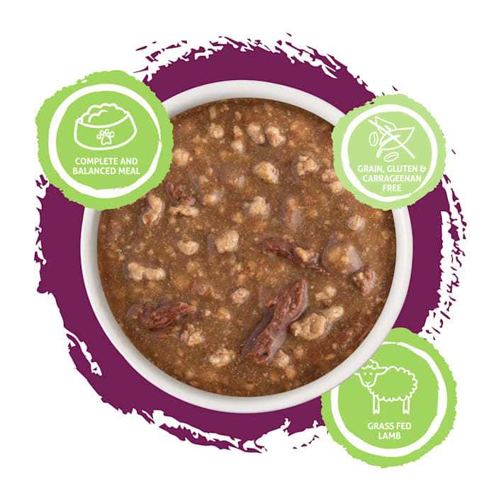 Wet Cat Food in Gravy P7789